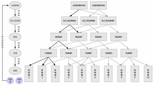 區(qū)塊鏈技術(shù)在食品溯源領(lǐng)域的應(yīng)用探究
